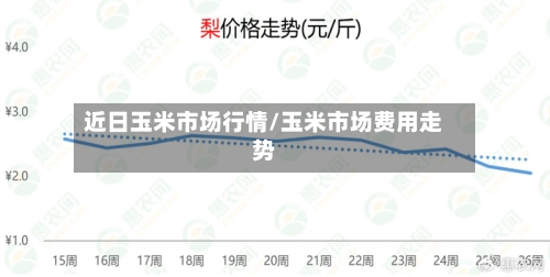 近日玉米市场行情/玉米市场费用走势
