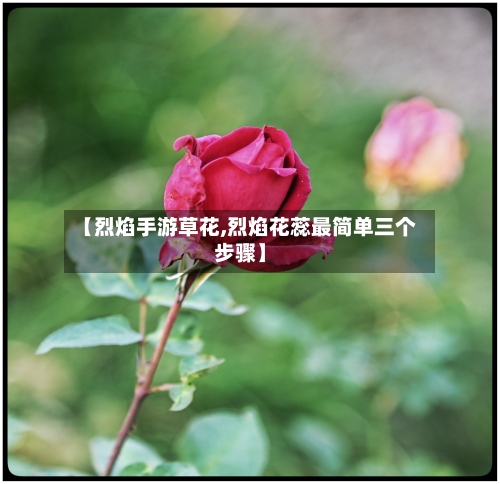 【烈焰手游草花,烈焰花蕊最简单三个步骤】-第2张图片