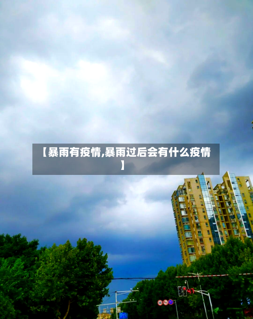 【暴雨有疫情,暴雨过后会有什么疫情】-第2张图片
