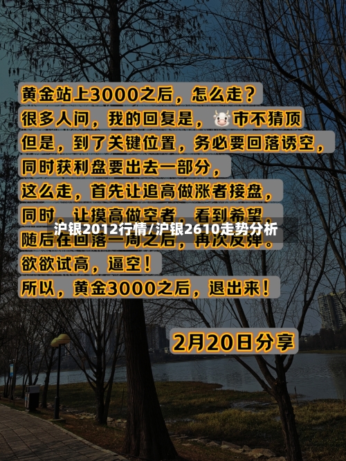 沪银2012行情/沪银2610走势分析