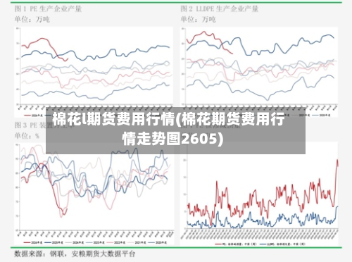 棉花l期货费用行情(棉花期货费用行情走势图2605)