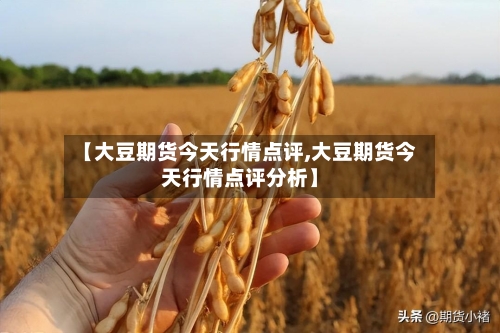 【大豆期货今天行情点评,大豆期货今天行情点评分析】-第2张图片