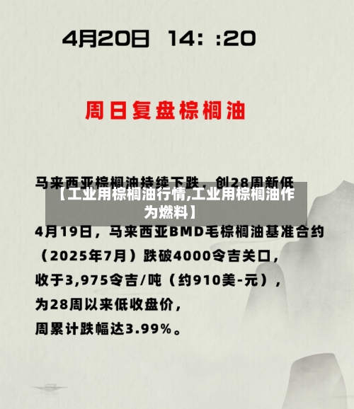 【工业用棕榈油行情,工业用棕榈油作为燃料】-第2张图片