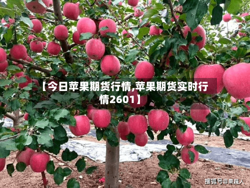 【今日苹果期货行情,苹果期货实时行情2601】-第2张图片