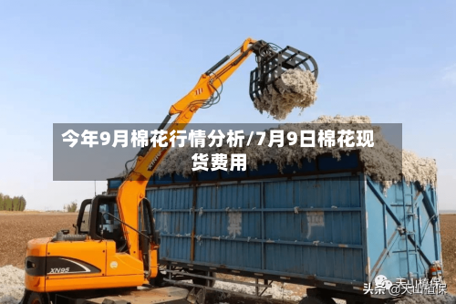 今年9月棉花行情分析/7月9日棉花现货费用-第3张图片