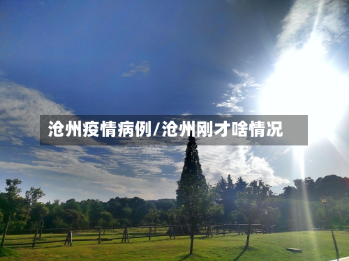 沧州疫情病例/沧州刚才啥情况
