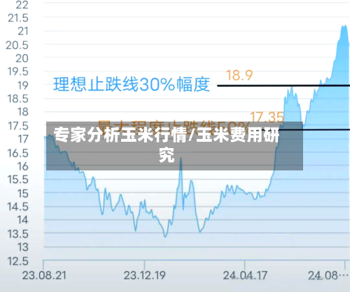 专家分析玉米行情/玉米费用研究