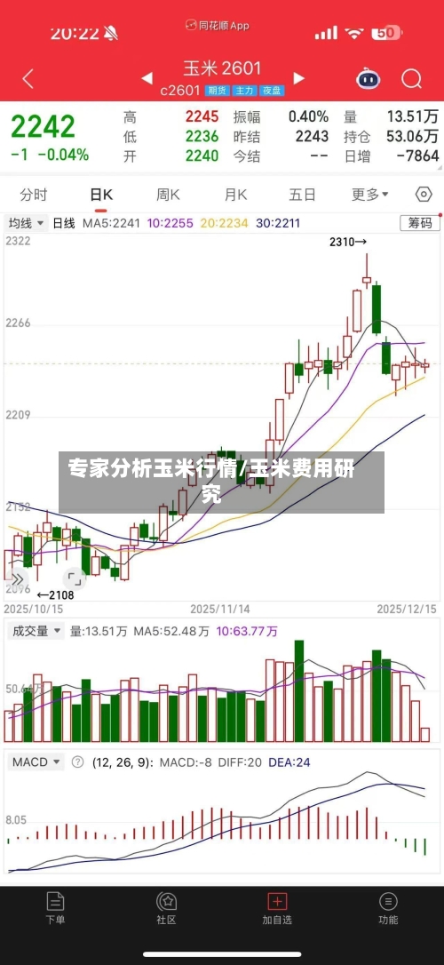 专家分析玉米行情/玉米费用研究-第2张图片
