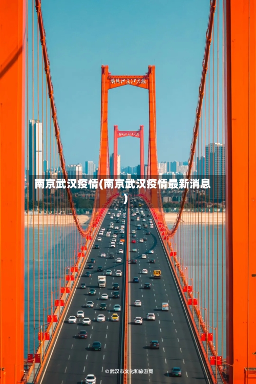 南京武汉疫情(南京武汉疫情最新消息)
