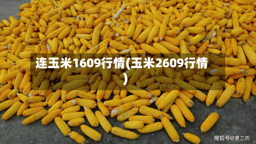 连玉米1609行情(玉米2609行情)-第2张图片