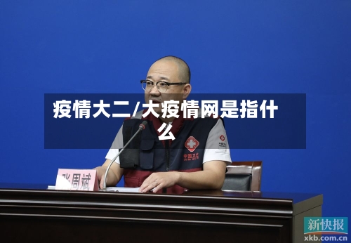疫情大二/大疫情网是指什么