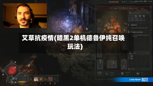 艾草抗疫情(暗黑2单机德鲁伊纯召唤玩法)-第2张图片