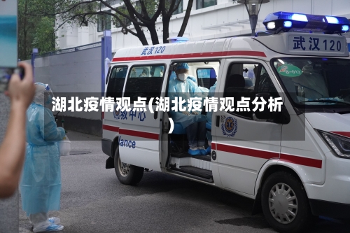 湖北疫情观点(湖北疫情观点分析)-第3张图片