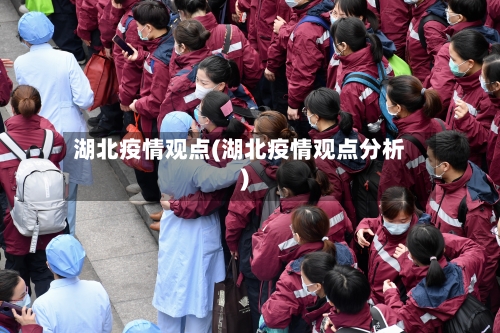 湖北疫情观点(湖北疫情观点分析)-第2张图片