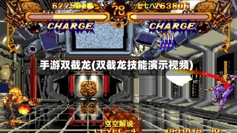 手游双截龙(双截龙技能演示视频)