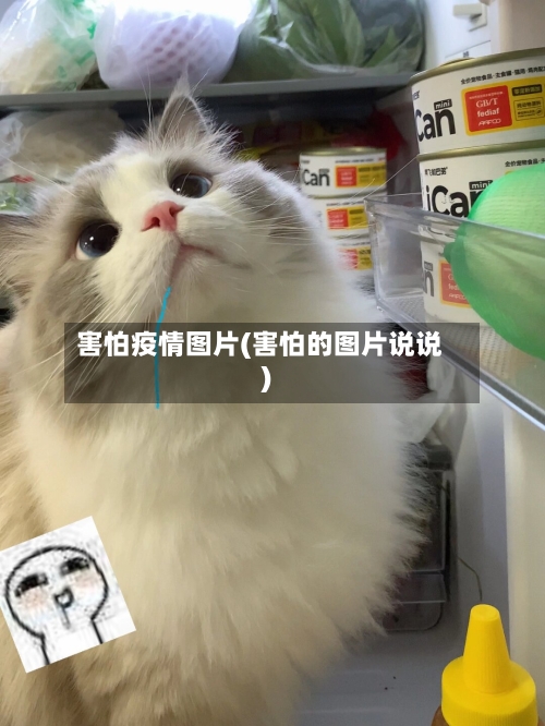 害怕疫情图片(害怕的图片说说)-第3张图片