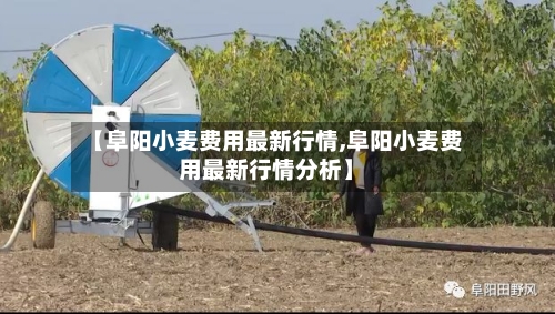 【阜阳小麦费用最新行情,阜阳小麦费用最新行情分析】-第2张图片