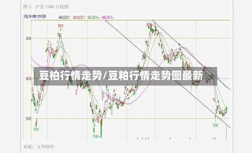豆柏行情走势/豆粕行情走势图最新