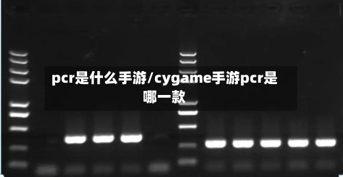pcr是什么手游/cygame手游pcr是哪一款