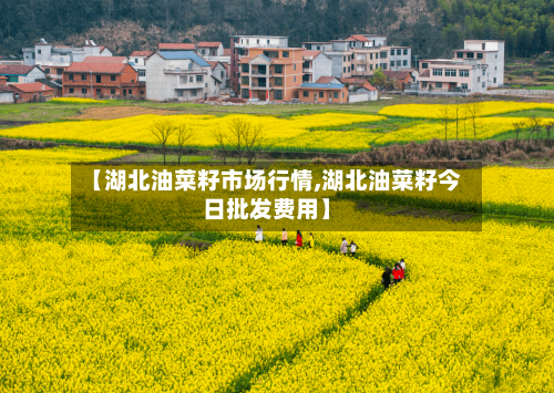 【湖北油菜籽市场行情,湖北油菜籽今日批发费用】
