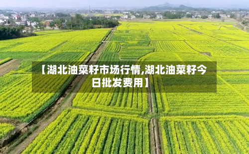 【湖北油菜籽市场行情,湖北油菜籽今日批发费用】-第2张图片