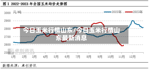 今日玉米行情山东/今日玉米行情山东最新消息-第2张图片