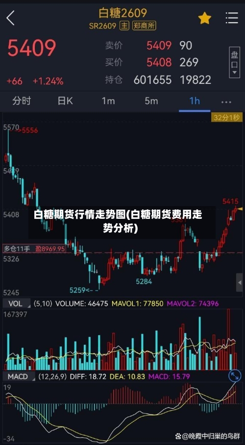 白糖期货行情走势图(白糖期货费用走势分析)