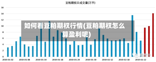 如何看豆粕期权行情(豆粕期权怎么算盈利呢)-第2张图片
