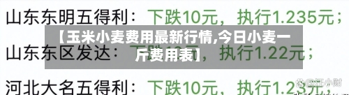 【玉米小麦费用最新行情,今日小麦一斤费用表】
