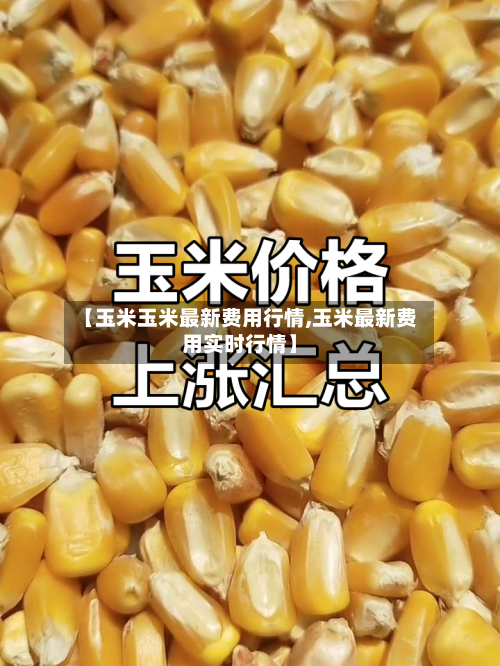 【玉米玉米最新费用行情,玉米最新费用实时行情】-第2张图片