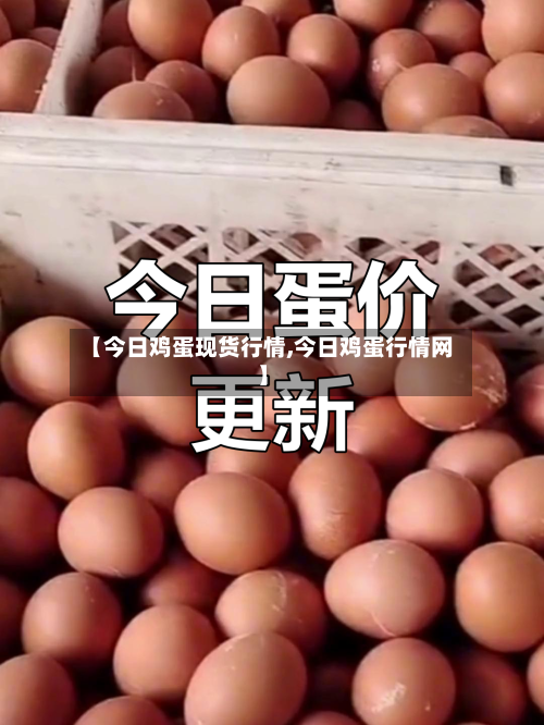 【今日鸡蛋现货行情,今日鸡蛋行情网】