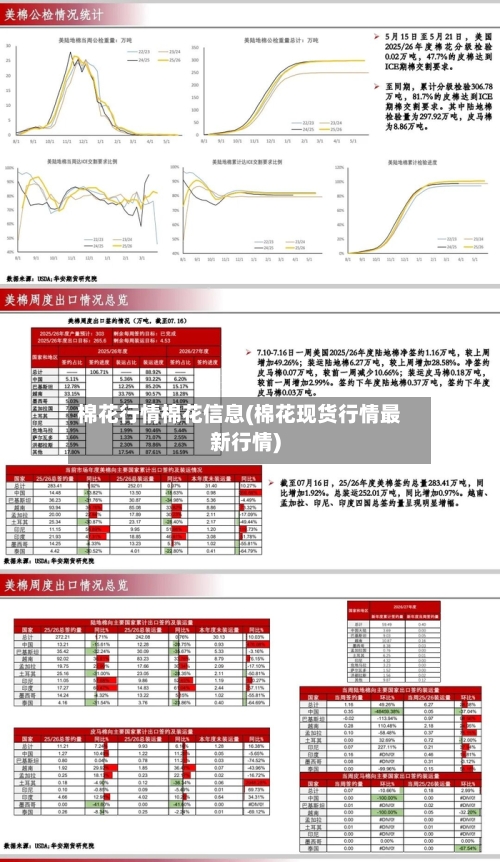 棉花行情棉花信息(棉花现货行情最新行情)