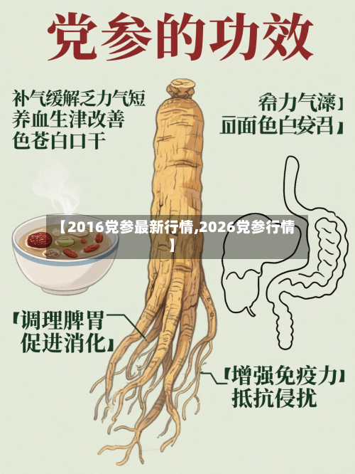 【2016党参最新行情,2026党参行情】