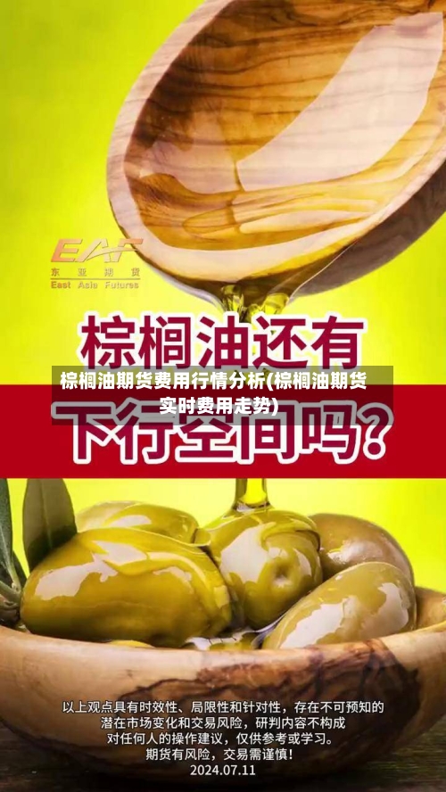 棕榈油期货费用行情分析(棕榈油期货实时费用走势)