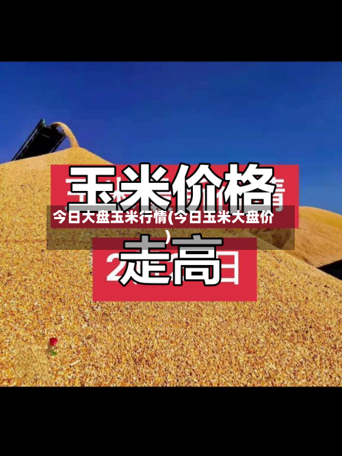 今日大盘玉米行情(今日玉米大盘价)-第2张图片