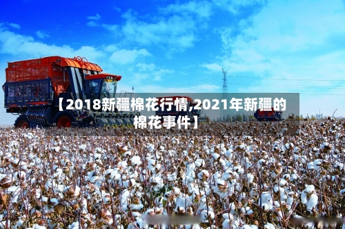 【2018新疆棉花行情,2021年新疆的棉花事件】