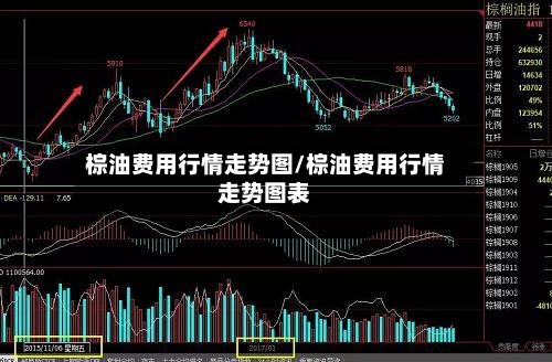 棕油费用行情走势图/棕油费用行情走势图表