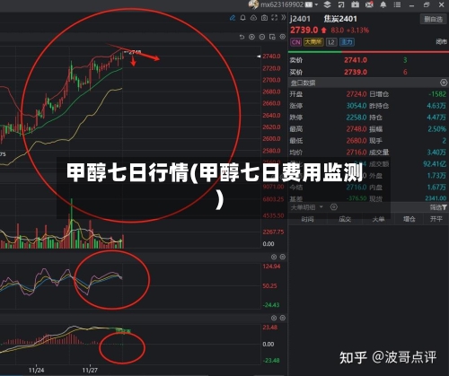 甲醇七日行情(甲醇七日费用监测)