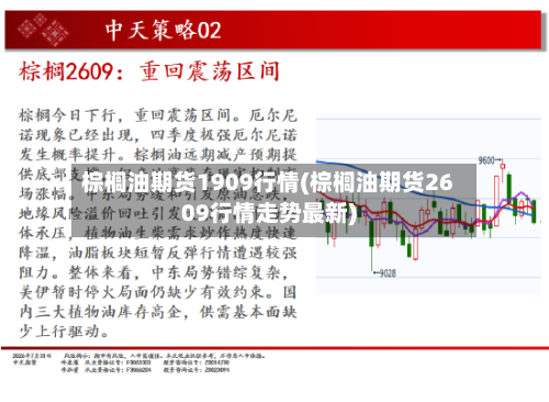 棕榈油期货1909行情(棕榈油期货2609行情走势最新)-第2张图片