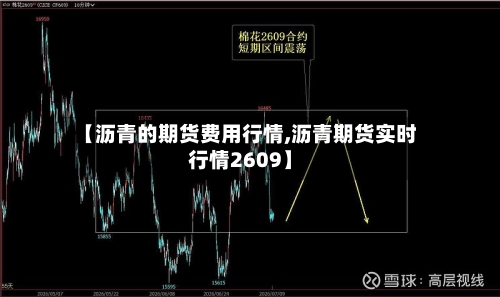 【沥青的期货费用行情,沥青期货实时行情2609】-第2张图片