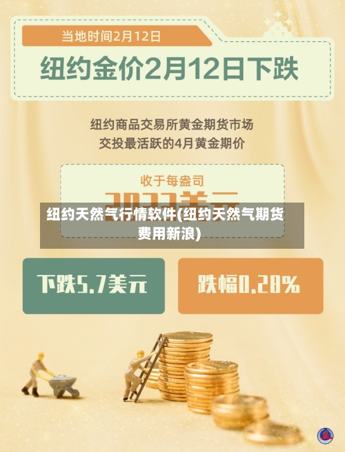 纽约天然气行情软件(纽约天然气期货费用新浪)