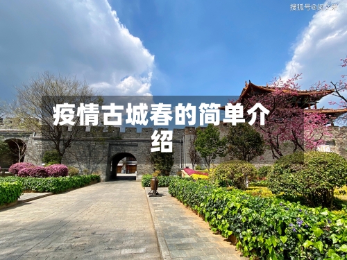 疫情古城春的简单介绍