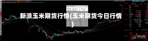 新浪玉米期货行情(玉米期货今日行情)
