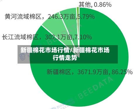 新疆棉花市场行情/新疆棉花市场行情走势-第2张图片