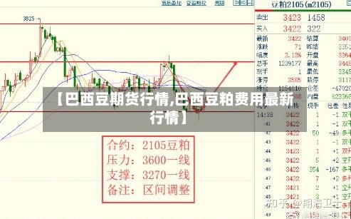 【巴西豆期货行情,巴西豆粕费用最新行情】