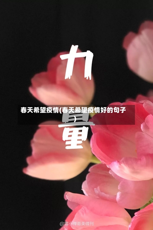 春天希望疫情(春天希望疫情好的句子)-第3张图片