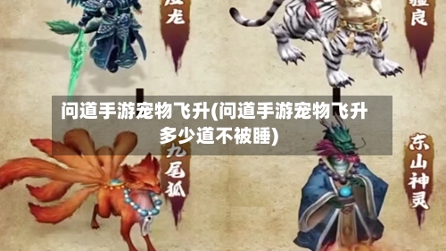 问道手游宠物飞升(问道手游宠物飞升多少道不被睡)-第2张图片