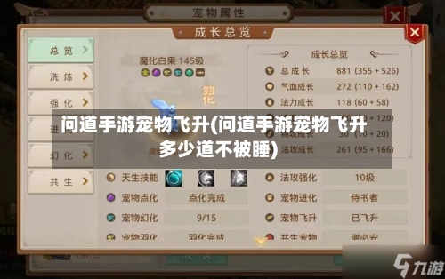 问道手游宠物飞升(问道手游宠物飞升多少道不被睡)-第3张图片