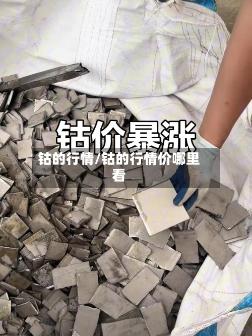 钴的行情/钴的行情价哪里看-第3张图片