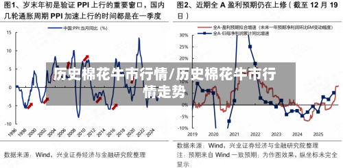 历史棉花牛市行情/历史棉花牛市行情走势